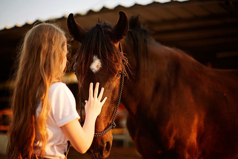 Tiergestützte Therapie Pferd